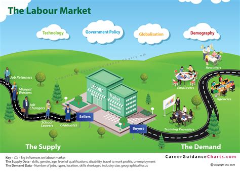 Navigating Market Dynamics: Insights