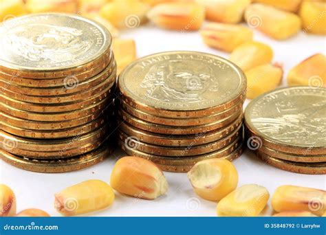 The Concept of Currency